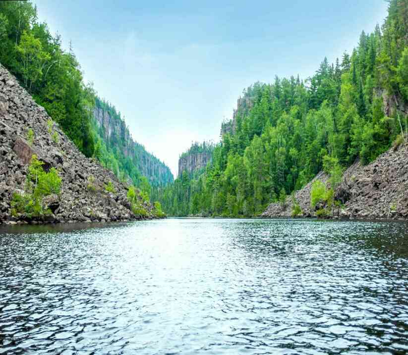 blog-image